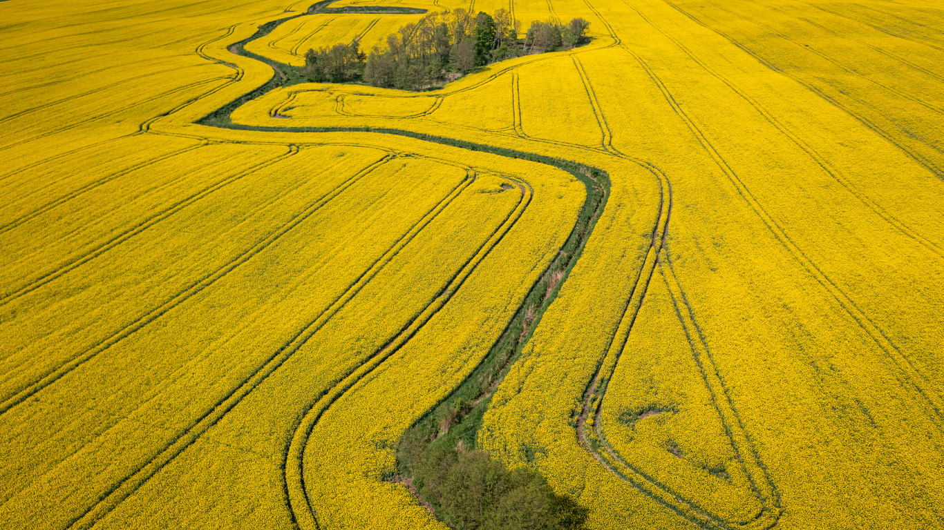 aerial-view-of-field-of-rapeseed-in-poland-country-2022-04-01-14-18-44-utc2